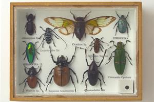 小ロットで缶バッチ制作をお願いできる