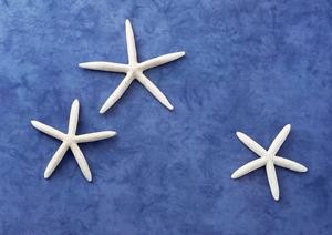 パフォーマンスをアップさせるショーツ