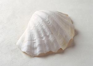 スイーツ店やベーカリーに使える食品袋