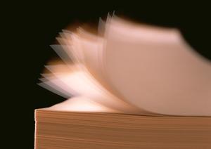 可愛い通園バッグで子供たちも大喜び